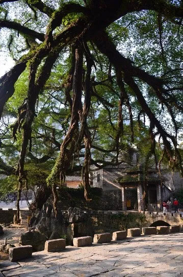 博皓游記 | 夏風微醺的綺夢，領略賀州黃姚古鎮、姑婆山閑憩之美-12